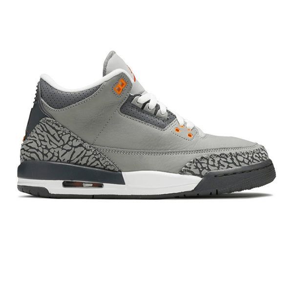 Jordan 3 Retro Cool Grey (2021) (GS) Shoes