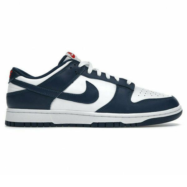 Nike Dunk Low Valerian Blue Shoes